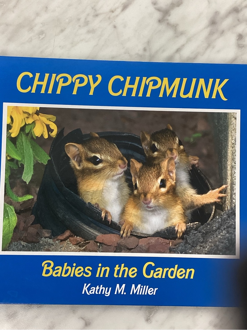 Chippy Chipmunk Babies in the Garden - Blue Cover